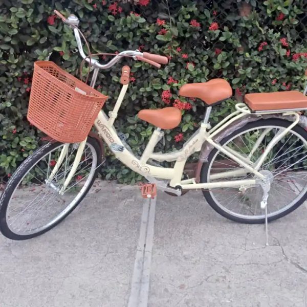 ✅ Bicicleta