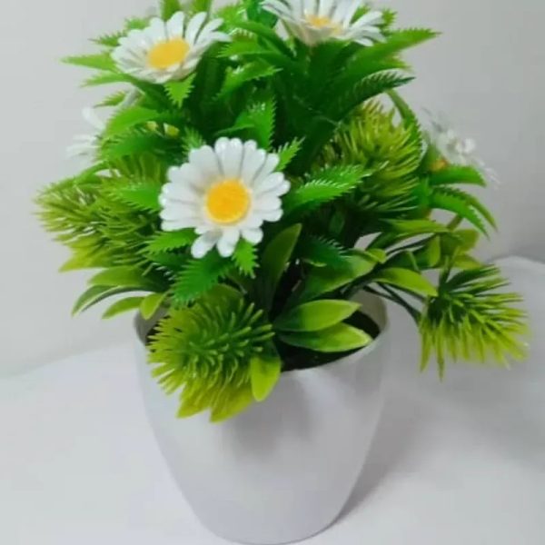 Macetas con flores medianas