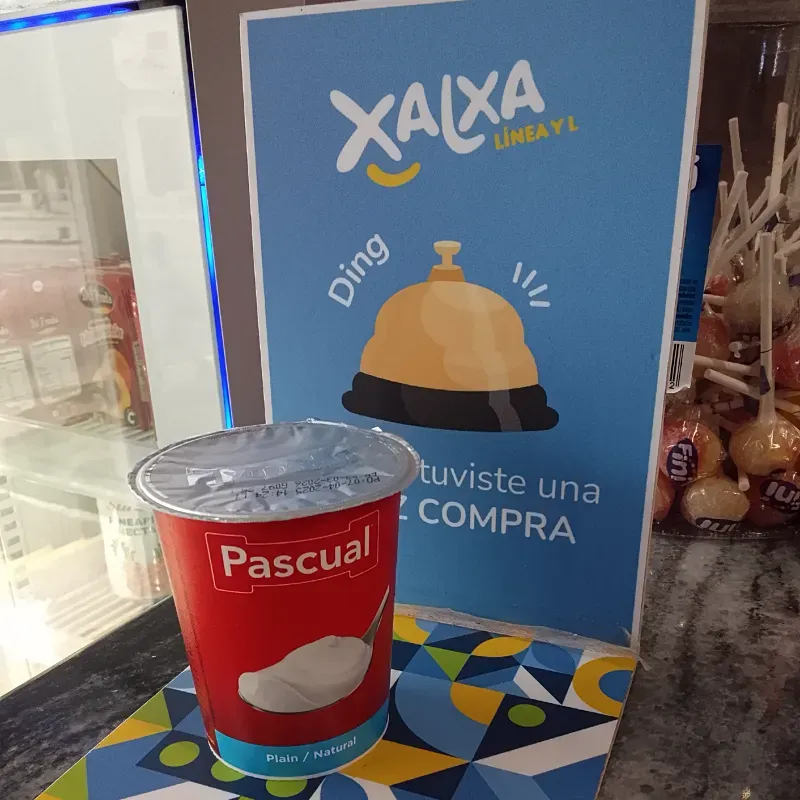 Yogurt Pascual Natural 120g