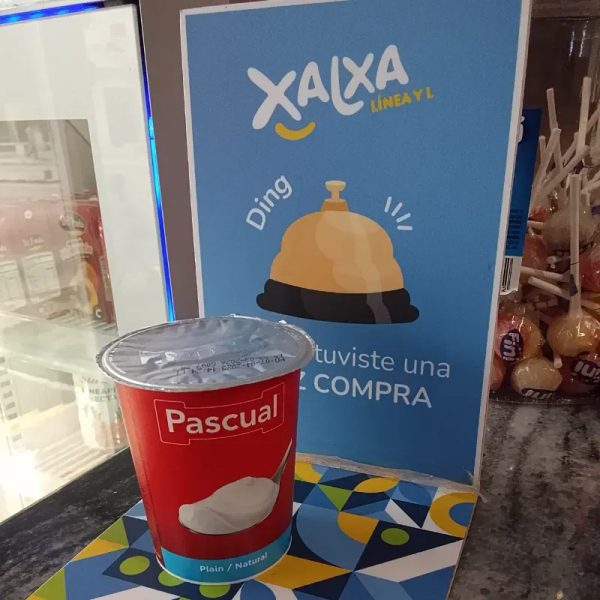 Yogurt Pascual Natural 120g