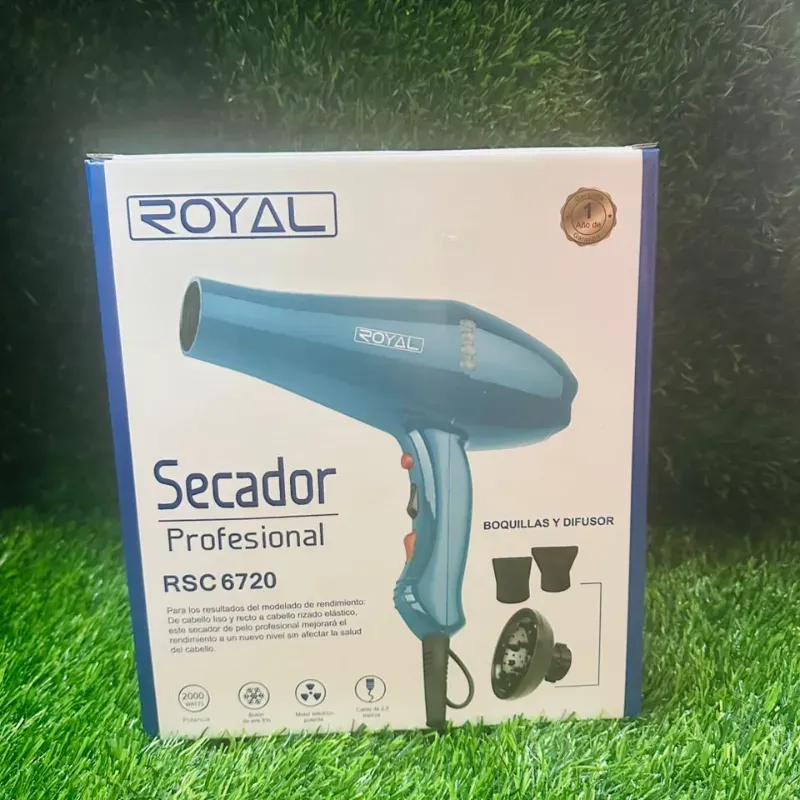 Secador de pelo Profesional Royal