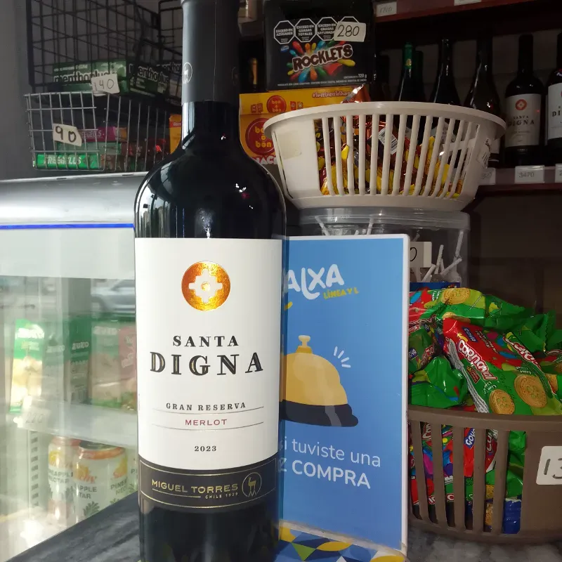 Santa Digna Merlot