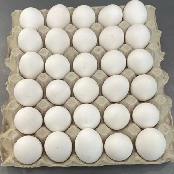 HUEVOS