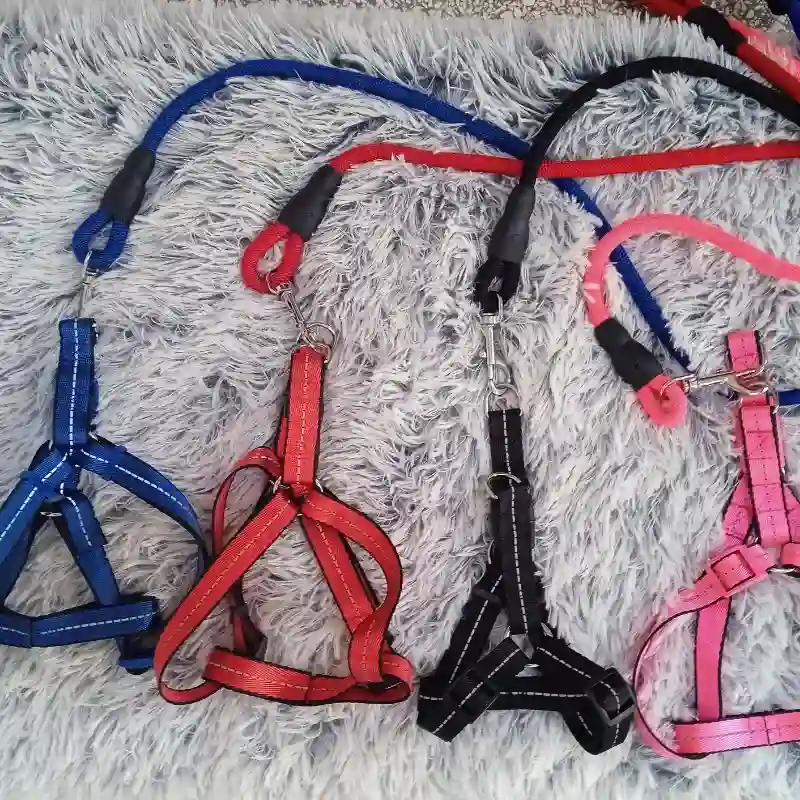 ARREO MEDIANO ORIGINAL