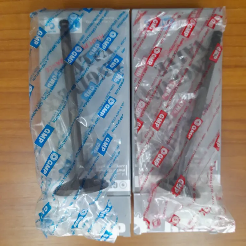 Válvulas de Escape y Admisión