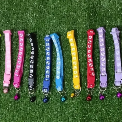 Collares para mascotas