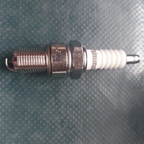 Bujia ax larga