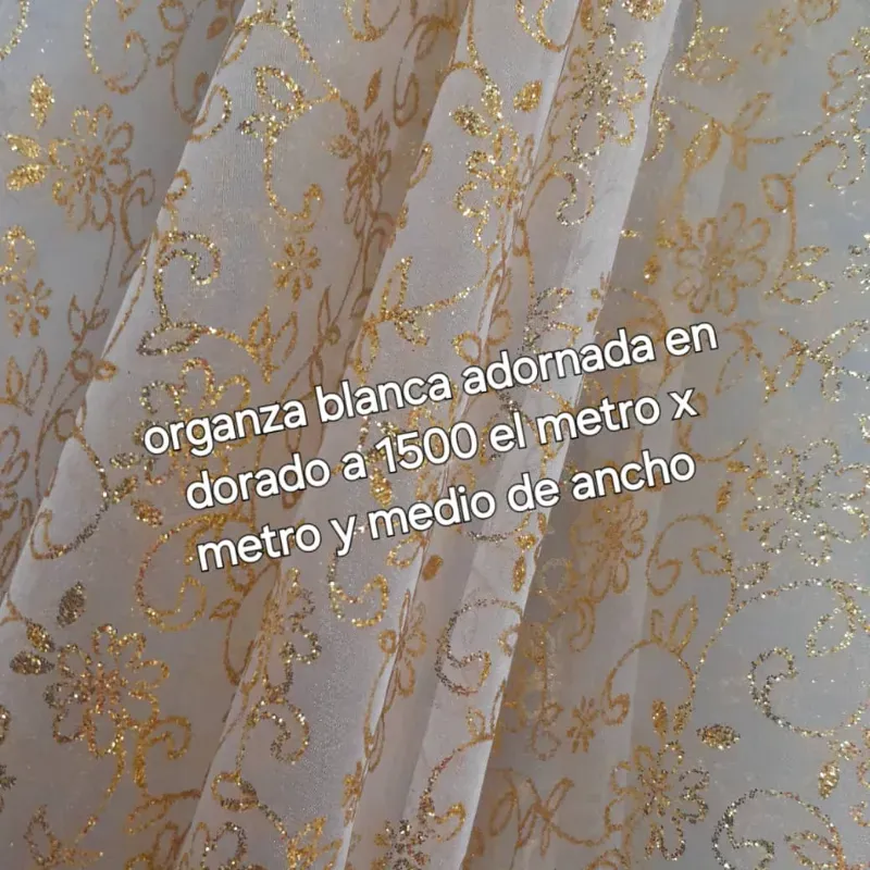 Organza blanca adornada en dorado