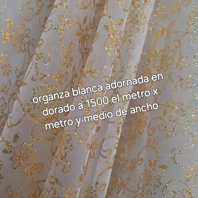 Organza blanca adornada en dorado