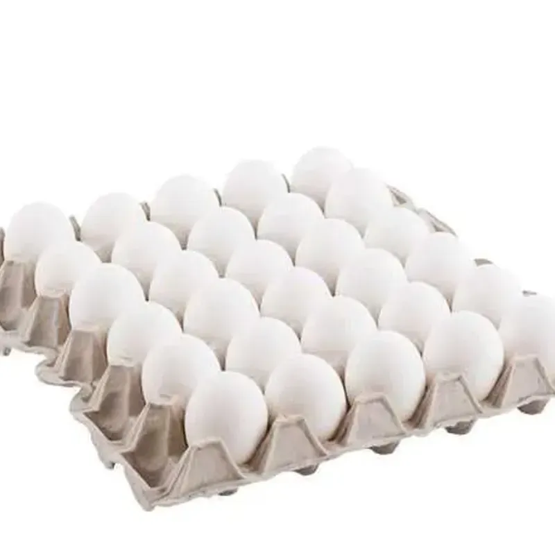 Cartón de huevos 30 unidad