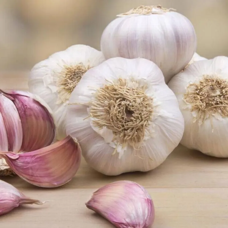 Ajos 5 cabezas