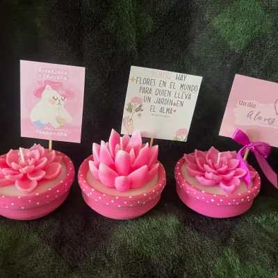 Macetas con frases positivas 4