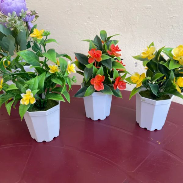 Macetas con flores