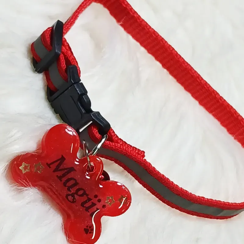 Collares de mascotas