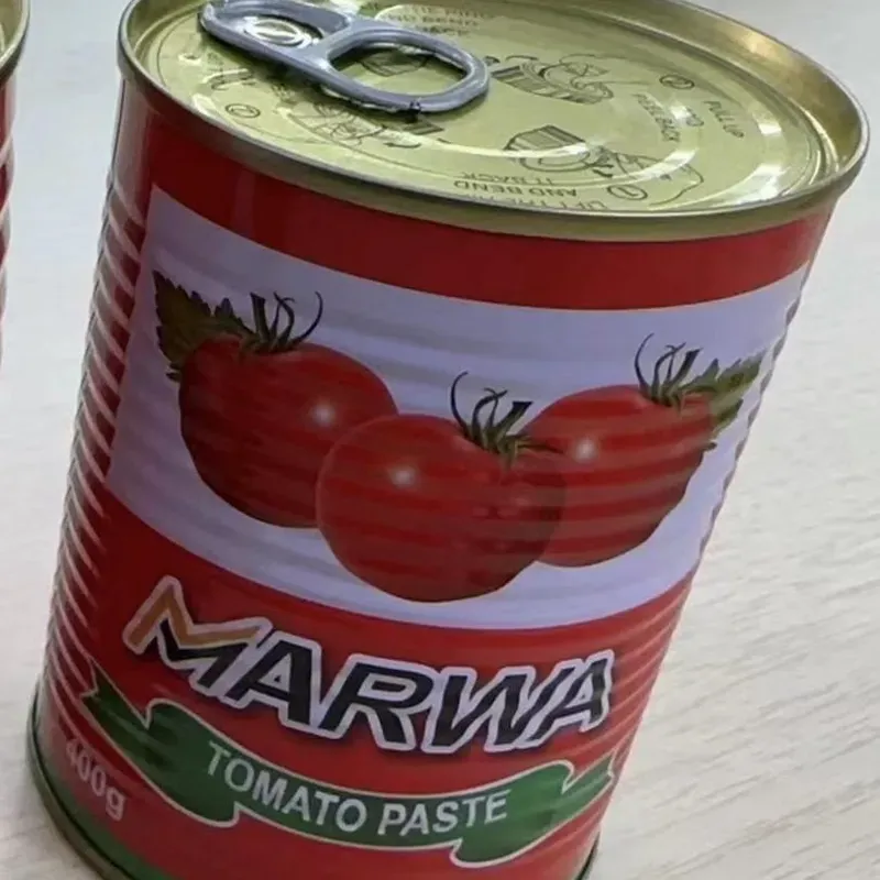 Pasta de tomate  400g