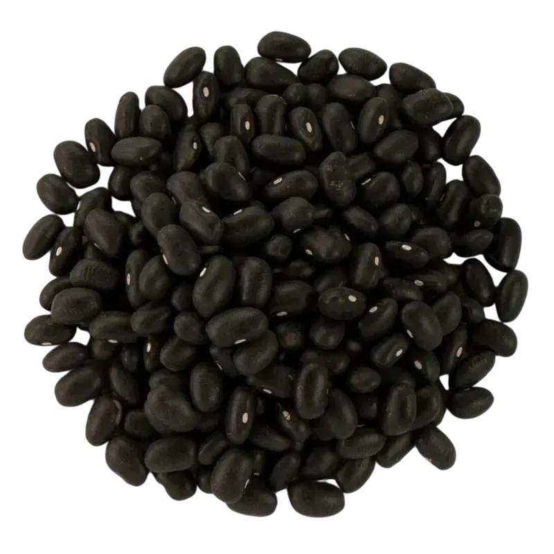 FRIJOLES NEGROS (5 LBS)