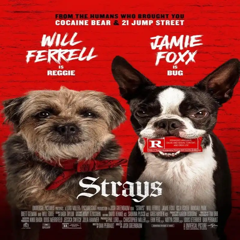 Strays [2023]
