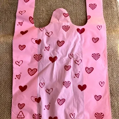 Bolsita de regalo de nylon 