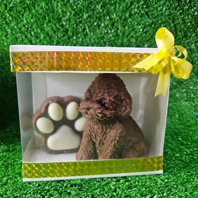 Perrito de chocolate oscuro con huella