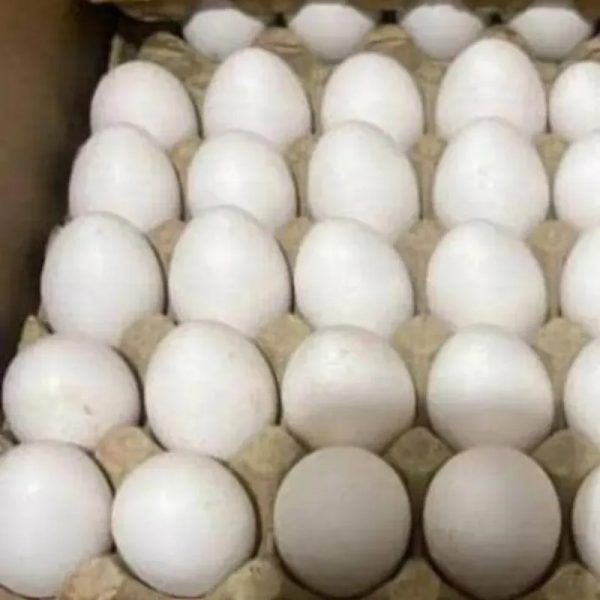 Huevos ( 15u)