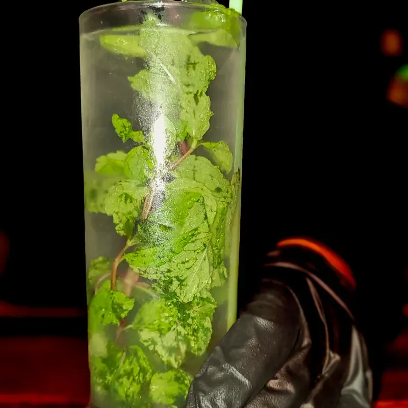 Mojito Virgen