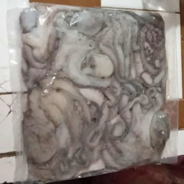 Pulpo entero 2lb