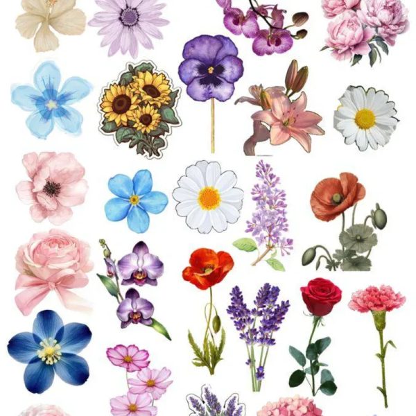 Flores
