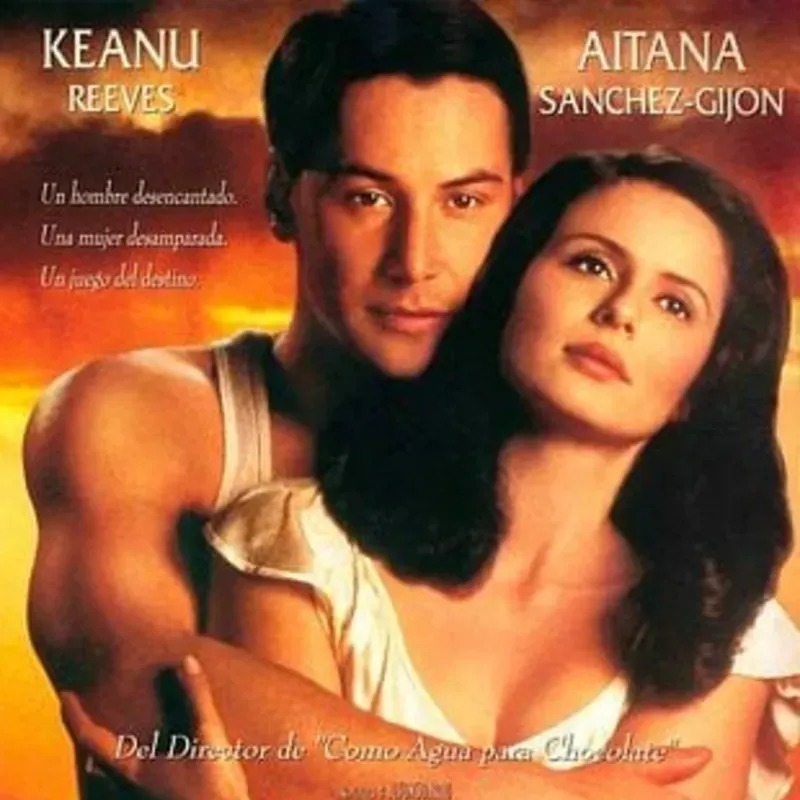 Un Paseo por las Nubes