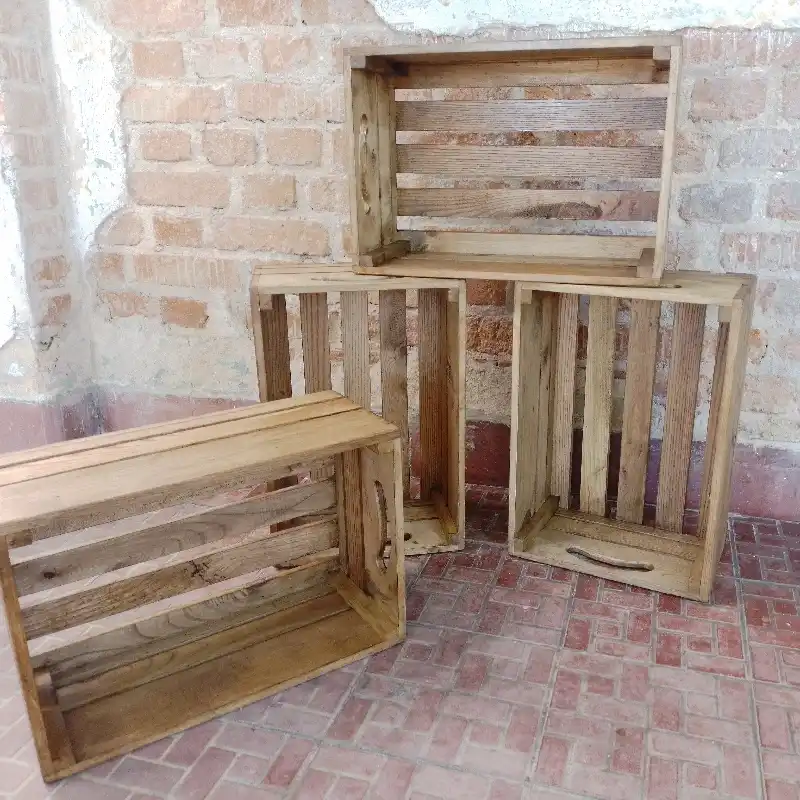 Cajas Organizadoras grandes