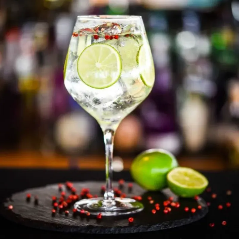 Cóctel Gin and Tonic