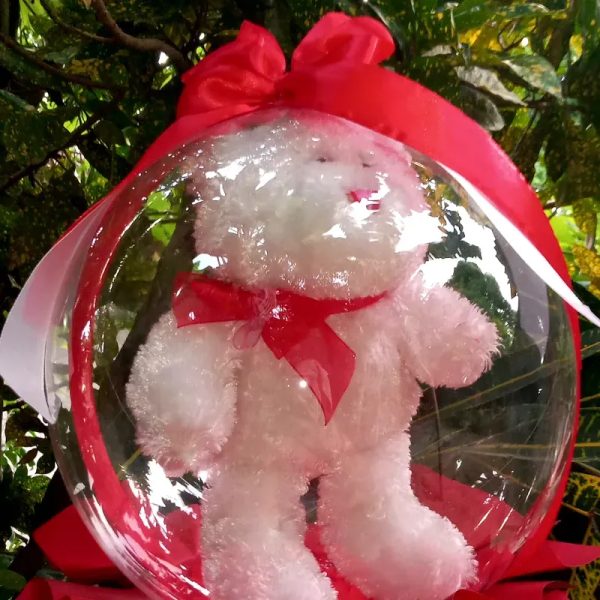 Peluche encapsulado