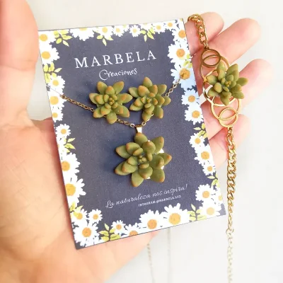 ✨Conjunto de Suculentas✨