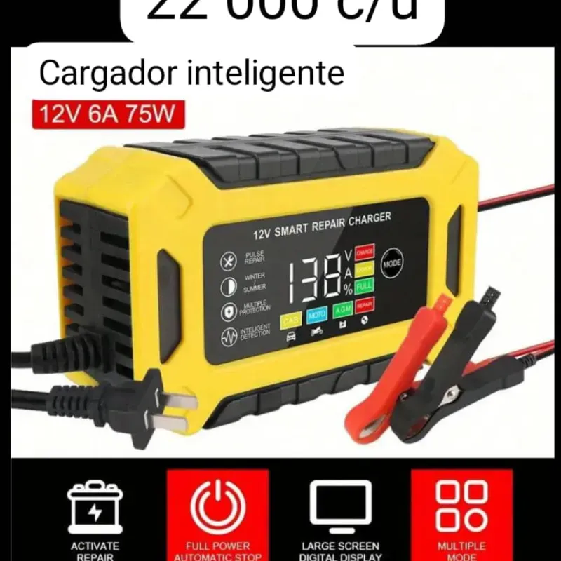 Cargador inteligente 12v 6A