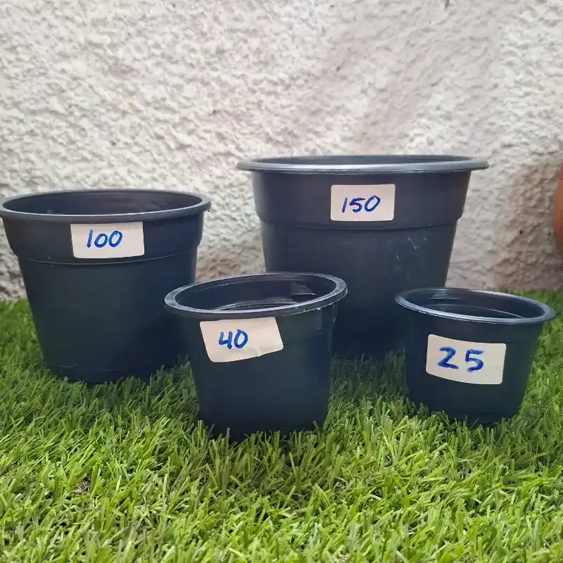 Macetas plásticas de diferentes medidas