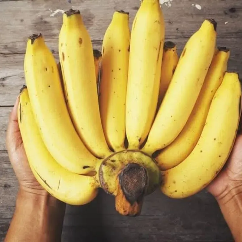 Plátano Fruta(Guineo)