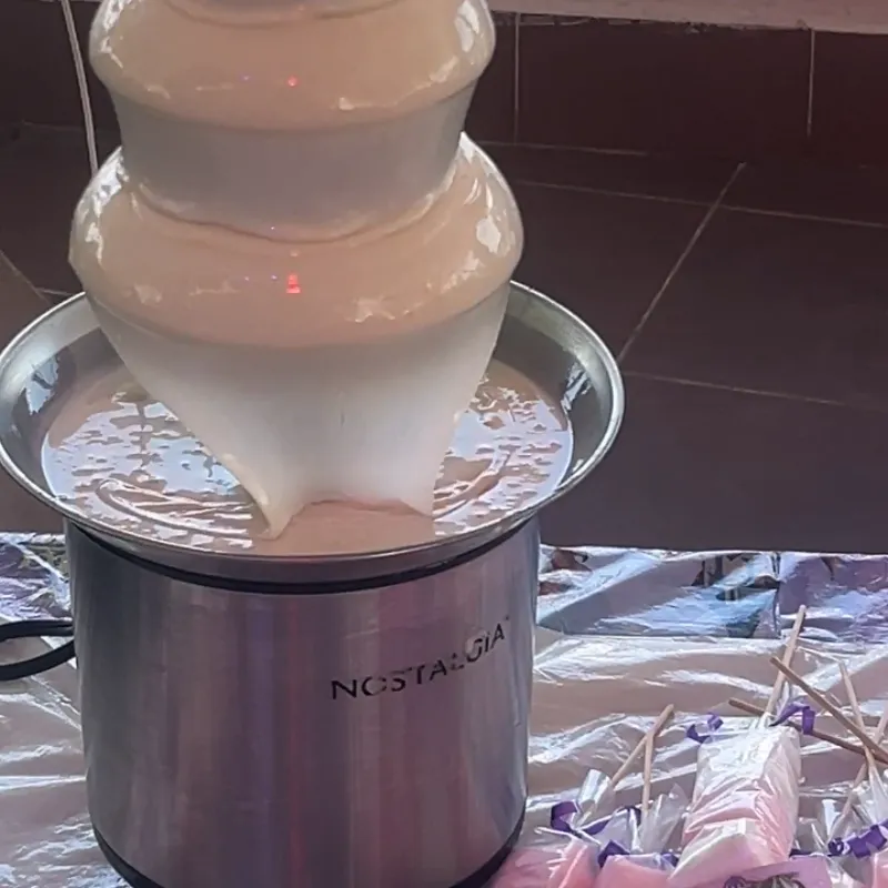 FUENTE DE LECHE CONDENSADA