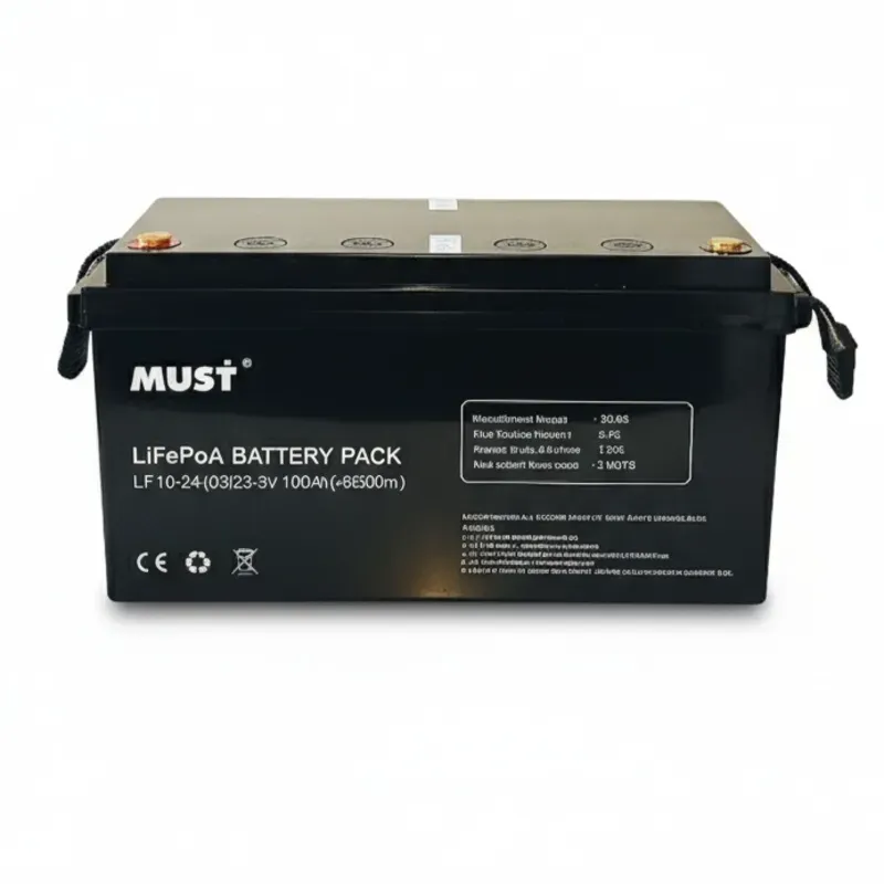 Batería Litio 12 v 100 ah