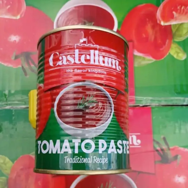 Pasta de Tomate Castellum