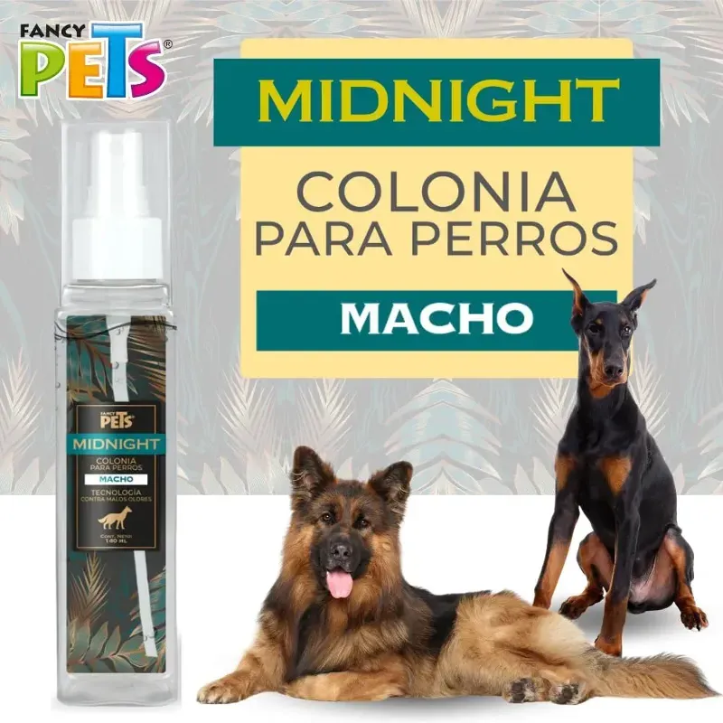 COLONIA  MIDNIGHT