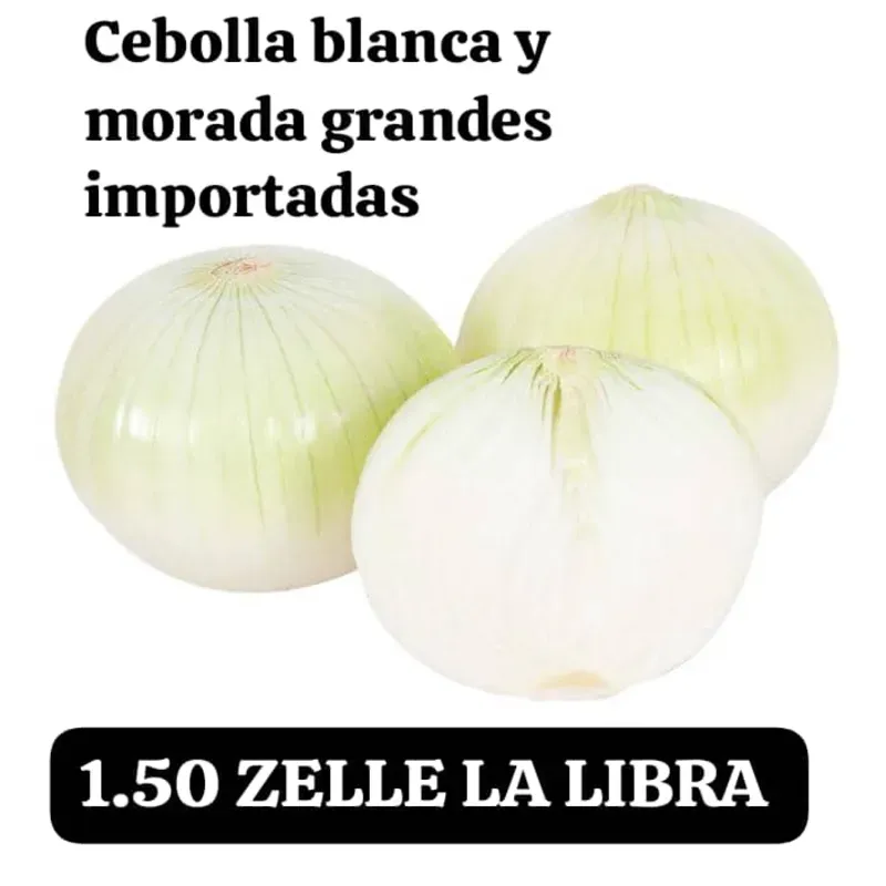 Cebolla blanca y morada
