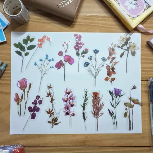 Pegatinas de flores con fondo transparente