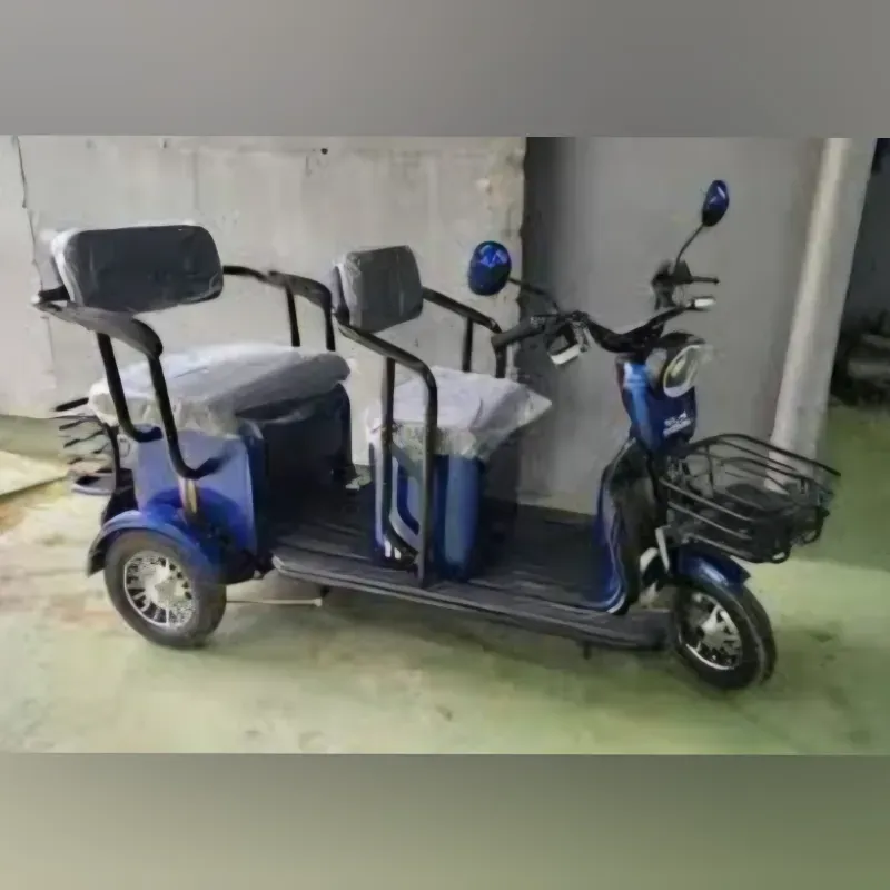 Triciclo Pequeño De Paseo