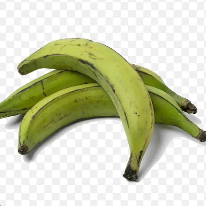 Plátano Vianda( Plátano Macho)