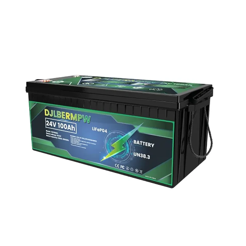Batería LiFePO4 24v 100Ah