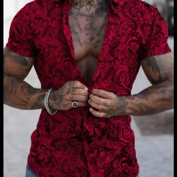 Camisa