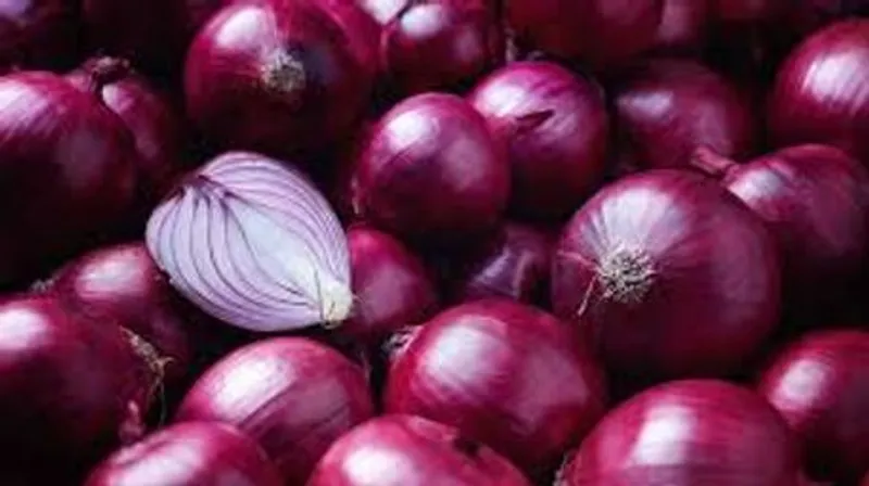 Cebolla Morada (Pata)
