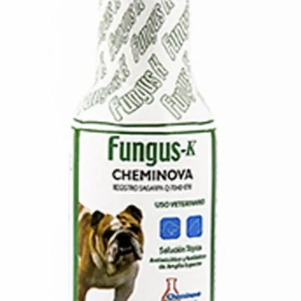 Fungus K