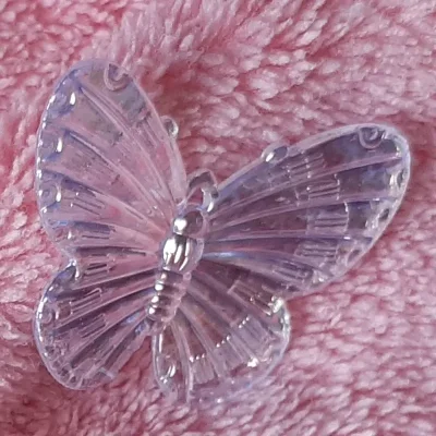 Mariposa chica blanca