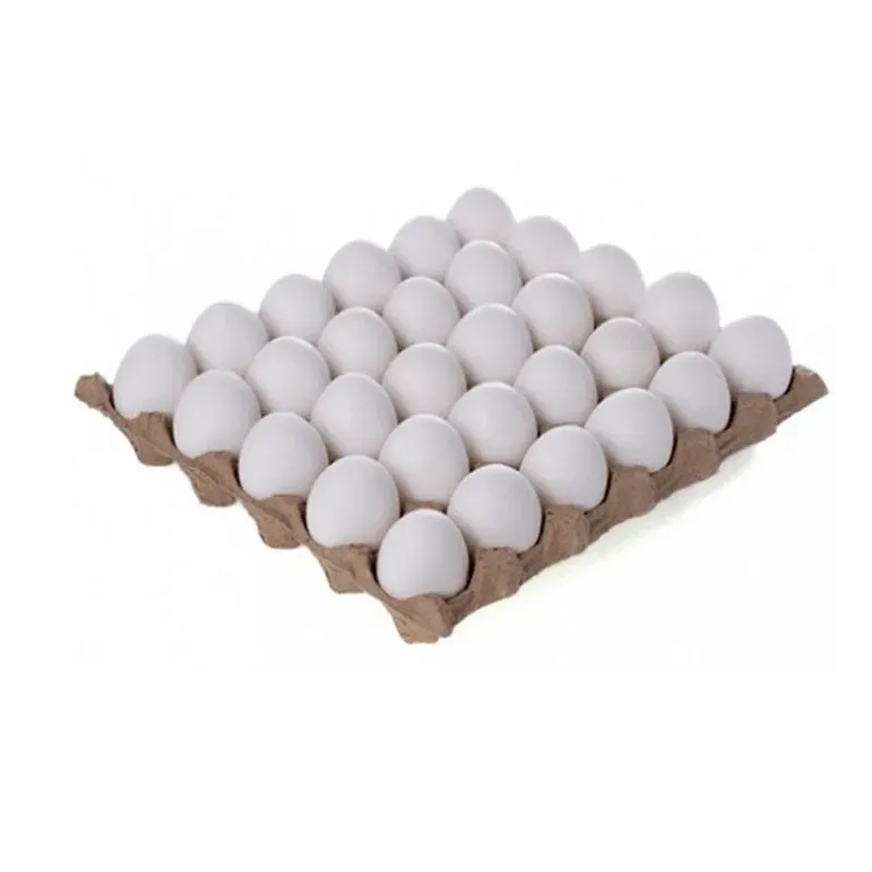 File de Huevos de Gallina