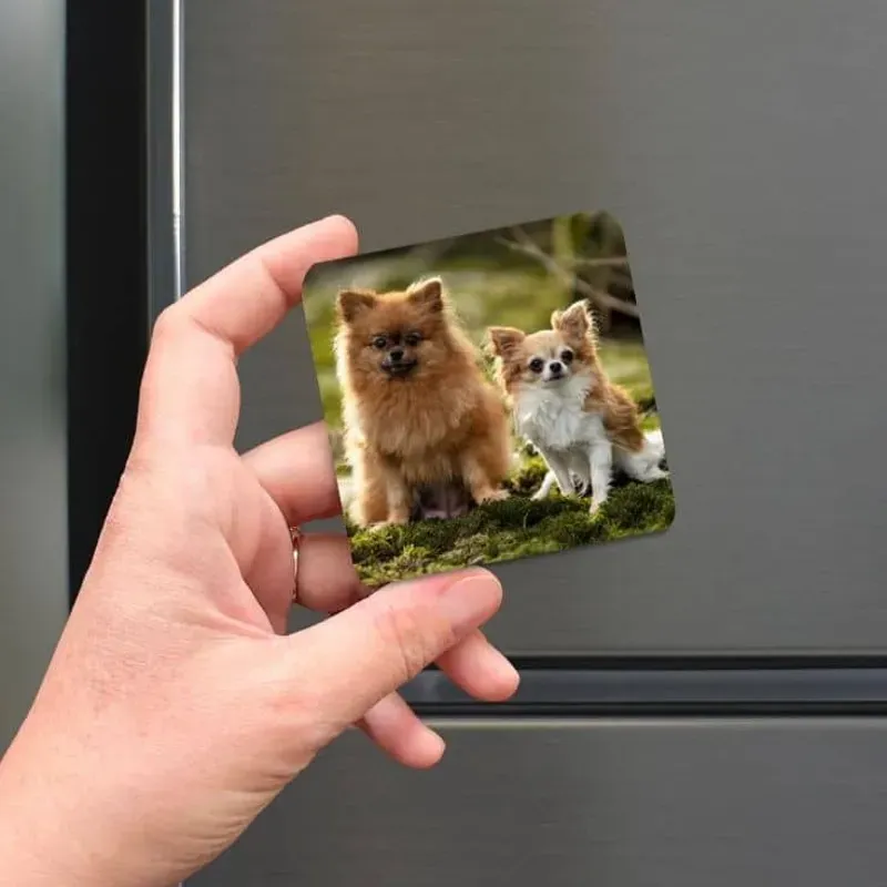 Imanes para el refrigerador